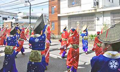 Compass高知 よさこい祭りで大興奮 Compass コンパス 発達支援センター 只今無料療育相談受付中